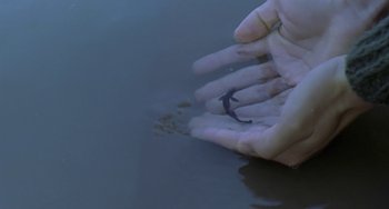 Movie still from “Il Mare” (2000), directed by Hyun-seung Lee – A person holding their hands over a body of water; Extreme Close Up shot, High angle