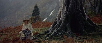 Movie still from “Images” (1972), directed by Robert Altman – A man sitting in front of a tree in a field; Wide shot, Low angle