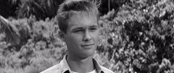 Movie still from “In Harm's Way” (1965), directed by Otto Preminger – Black and white photograph of a young man in front of bushes; Close Up shot, Low angle