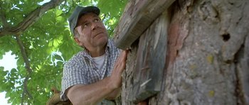 Movie still from “In the Bedroom” (2001), directed by Todd Field – An older man in plaid shirt and green hat leaning on a wooden structure; Close Up shot, Low angle