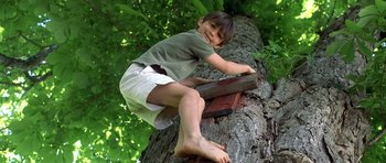 Movie still from “In the Bedroom” (2001), directed by Todd Field – A young boy climbing a tree trunk in the woods; Medium shot, Low angle