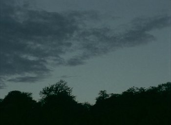 Movie still from “India Song” (1975), directed by Marguerite Duras – A view of a dark sky and trees in the foreground; Extreme Wide shot, Low angle