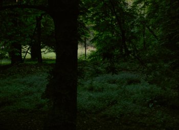 Movie still from “India Song” (1975), directed by Marguerite Duras – A tree in the middle of a forest at night; Extreme Wide shot, High angle