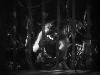 Movie still from “Island of Lost Souls” (1932), directed by Erle C. Kenton – A man is sitting in a cage in the dark; Medium shot, High angle