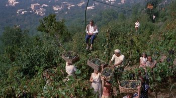 Movie still from “It Started in Naples” (1960), directed by Melville Shavelson – A group of people picking grapes in a field; Wide shot, High angle