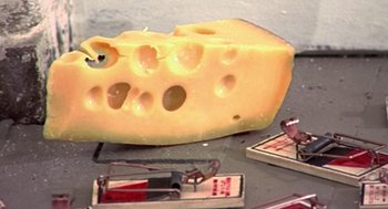 Movie still from “Jackass: The Movie” (2002), directed by Jeff Tremaine – A piece of cheese sitting on top of a table; Extreme Close Up shot, Overhead angle