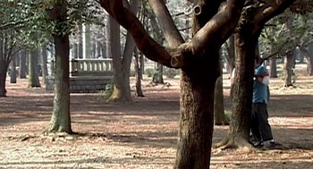 Movie still from “Jackass: The Movie” (2002), directed by Jeff Tremaine – A tree in the middle of a park with a bench in the background; Extreme Wide shot, Low angle