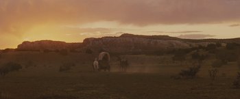 Movie still from “Jane Got a Gun” (2015), directed by Gavin O'Connor – Horses are standing in a field near a covered wagon; Extreme Wide shot, Low angle
