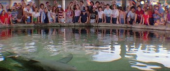 Movie still from “Jaws 3-D” (1983), directed by Joe Alves – A group of people standing around a body of water; Wide shot, High angle