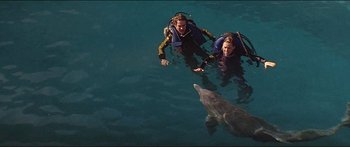 Movie still from “Jaws 3-D” (1983), directed by Joe Alves – Two people in the water next to an animal; Wide shot, High angle