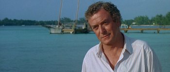 Movie still from “Jaws: The Revenge” (1987), directed by Joseph Sargent – A person near a body of water; Close Up shot, Over the shoulder angle