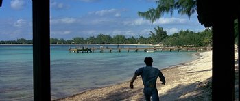 Movie still from “Jaws: The Revenge” (1987), directed by Joseph Sargent – A man standing on a beach near the water; Extreme Wide shot, High angle