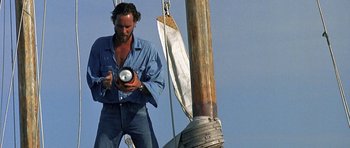 Movie still from “Jaws: The Revenge” (1987), directed by Joseph Sargent – A man standing on top of a boat holding a beer; Medium shot, Low angle