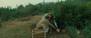 A man and a woman picking berries from a bush