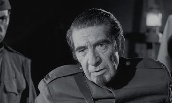 Movie still from “Johnny Got His Gun” (1971), directed by Dalton Trumbo – An older man with a beard and mustache; Close Up shot, Over the shoulder angle