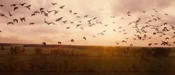 Movie still from “Jonah Hex” (2010), directed by Jimmy Hayward – A flock of birds flying over a field at sunset; Extreme Wide shot, Low angle
