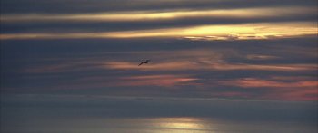 Movie still from “Jonathan Livingston Seagull” (1973), directed by Hall Bartlett – A bird is flying in the sky at sunset; Extreme Wide shot, High angle