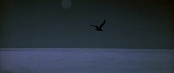 Movie still from “Jonathan Livingston Seagull” (1973), directed by Hall Bartlett – A bird is flying in the sky at night; Extreme Wide shot, Low angle