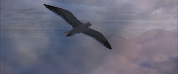 Movie still from “Jonathan Livingston Seagull” (1973), directed by Hall Bartlett – A bird flying through the air with a cloudy sky in the background; Extreme Close Up shot, Low angle