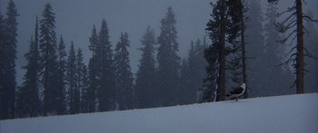 Movie still from “Jonathan Livingston Seagull” (1973), directed by Hall Bartlett – A view of a snow covered slope with trees in the background; Extreme Wide shot, High angle