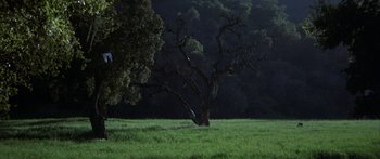 Movie still from “Jonathan Livingston Seagull” (1973), directed by Hall Bartlett – A tree in the middle of a green field; Extreme Wide shot, Low angle
