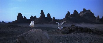 Movie still from “Jonathan Livingston Seagull” (1973), directed by Hall Bartlett – Two birds are standing on the rocks in front of some mountains; Extreme Wide shot, Low angle