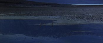 Movie still from “Jonathan Livingston Seagull” (1973), directed by Hall Bartlett – Two birds sitting on the shore of a lake at night; Extreme Wide shot, High angle