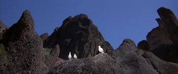 Movie still from “Jonathan Livingston Seagull” (1973), directed by Hall Bartlett – Three birds sitting on top of a rock formation; Extreme Wide shot, Low angle