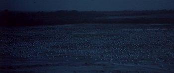 Movie still from “Jonathan Livingston Seagull” (1973), directed by Hall Bartlett – A flock of birds sitting on top of a sandy beach; Extreme Wide shot, High angle