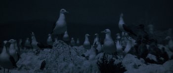 Movie still from “Jonathan Livingston Seagull” (1973), directed by Hall Bartlett – A flock of birds standing on top of a pile of sand; Wide shot, High angle