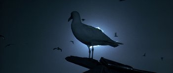 Movie still from “Jonathan Livingston Seagull” (1973), directed by Hall Bartlett – A bird standing on a branch in front of the moon; Wide shot, Low angle
