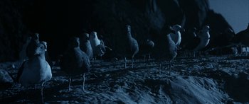 Movie still from “Jonathan Livingston Seagull” (1973), directed by Hall Bartlett – A group of birds standing on top of a sandy beach; Wide shot, High angle