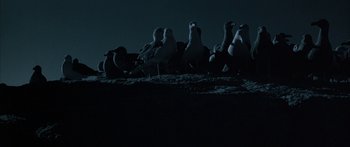 Movie still from “Jonathan Livingston Seagull” (1973), directed by Hall Bartlett – A flock of birds sitting on top of a sandy beach at night; Wide shot, Low angle