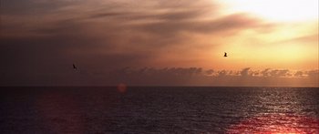 Movie still from “Jonathan Livingston Seagull” (1973), directed by Hall Bartlett – A bird flying over a body of water at sunset; Extreme Wide shot, Low angle