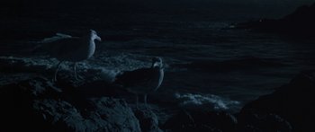 Movie still from “Jonathan Livingston Seagull” (1973), directed by Hall Bartlett – Two birds are standing on a rock by the water; Wide shot, Low angle