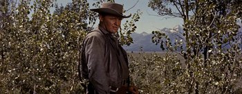 Movie still from “Jubal” (1956), directed by Delmer Daves – A man wearing a cowboy hat standing next to a tree; Medium shot, Low angle