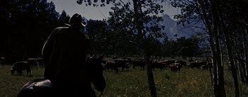 Movie still from “Jubal” (1956), directed by Delmer Daves – A herd of cattle grazing in a grassy field; Wide shot, Low angle