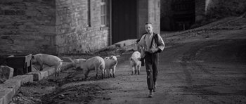 Movie still from “Jude” (1996), directed by Michael Winterbottom – A black and white photo of a man and some sheep; Wide shot, High angle