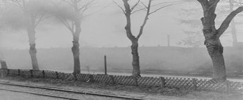 Movie still from “Jules and Jim” (1962), directed by François Truffaut – A black - and - white photo of trees and a train track; Extreme Wide shot, Low angle