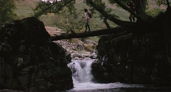 Movie still from “Julia” (1977), directed by Fred Zinnemann – A person standing on a fallen tree near a waterfall; Extreme Wide shot, Low angle