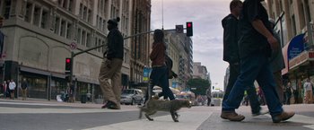 Movie still from “Keanu” (2016), directed by Peter Atencio – A woman and a cat cross a street in a city; Wide shot, Low angle