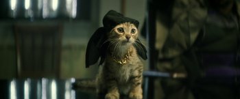 Movie still from “Keanu” (2016), directed by Peter Atencio – A cat wearing a hat and a gold chain around it's neck; Close Up shot, Over the shoulder angle