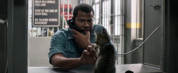 Movie still from “Keanu” (2016), directed by Peter Atencio – A man on a cell phone with a cat on his lap; Medium shot, Over the shoulder angle
