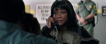 Movie still from “Keanu” (2016), directed by Peter Atencio – A woman holding a cat while on the phone; Close Up shot, High angle