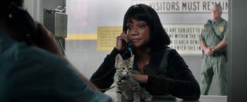 Movie still from “Keanu” (2016), directed by Peter Atencio – A woman sitting at a table with a cat on her lap; Close Up shot, Over the shoulder angle