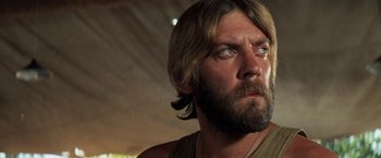 Movie still from “Kelly's Heroes” (1970), directed by Brian G. Hutton – A person with long hair and a beard; Close Up shot, Low angle