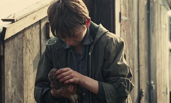 Movie still from “Kes” (1969), directed by Ken Loach – A young boy holding a bird in his hands; Close Up shot, Over the shoulder angle