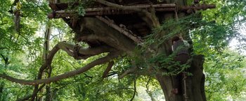 Movie still from “Enola Holmes” (2020), directed by Harry Bradbeer – A large tree with many branches on top of it; Wide shot, Low angle
