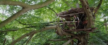 Movie still from “Enola Holmes” (2020), directed by Harry Bradbeer – A person in a tree house in the middle of a forest; Wide shot, Low angle