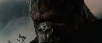 Movie still from “King Kong” (1976), directed by John Guillermin – The face of a gorilla; Extreme Close Up shot, Low angle